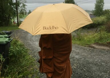 Buddhistmunk en regnværsdag