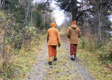 Buddhistmunker på tur