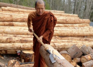 Buddhistmunk barker tømmer